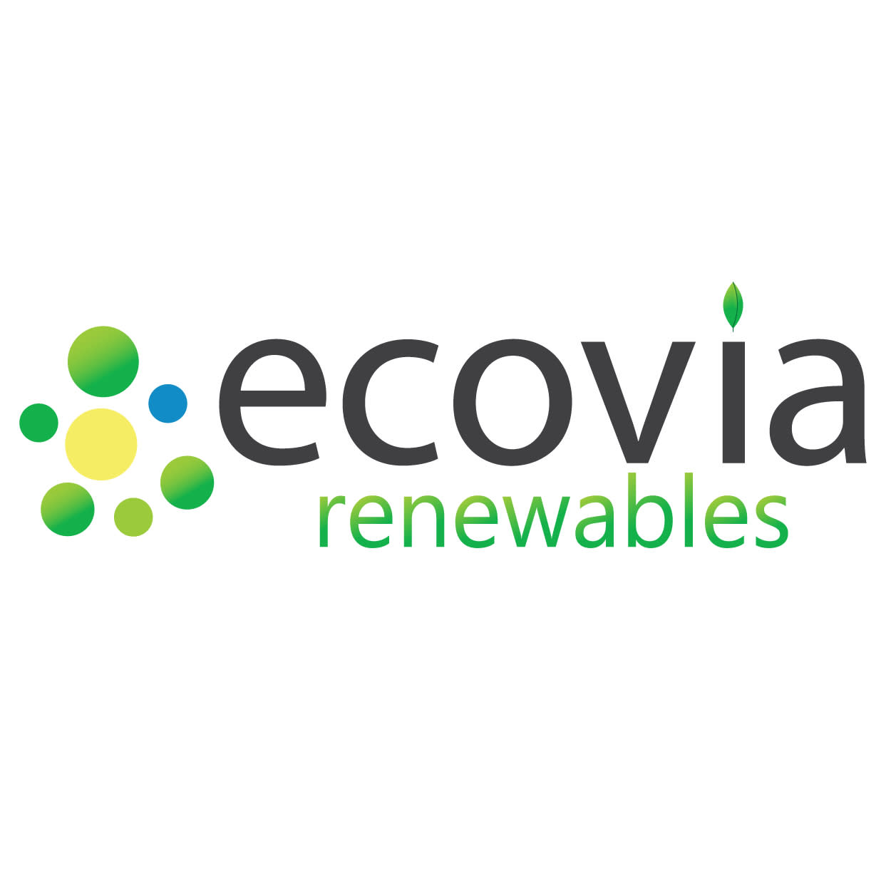 Interview with Ecovia Renewables Founders