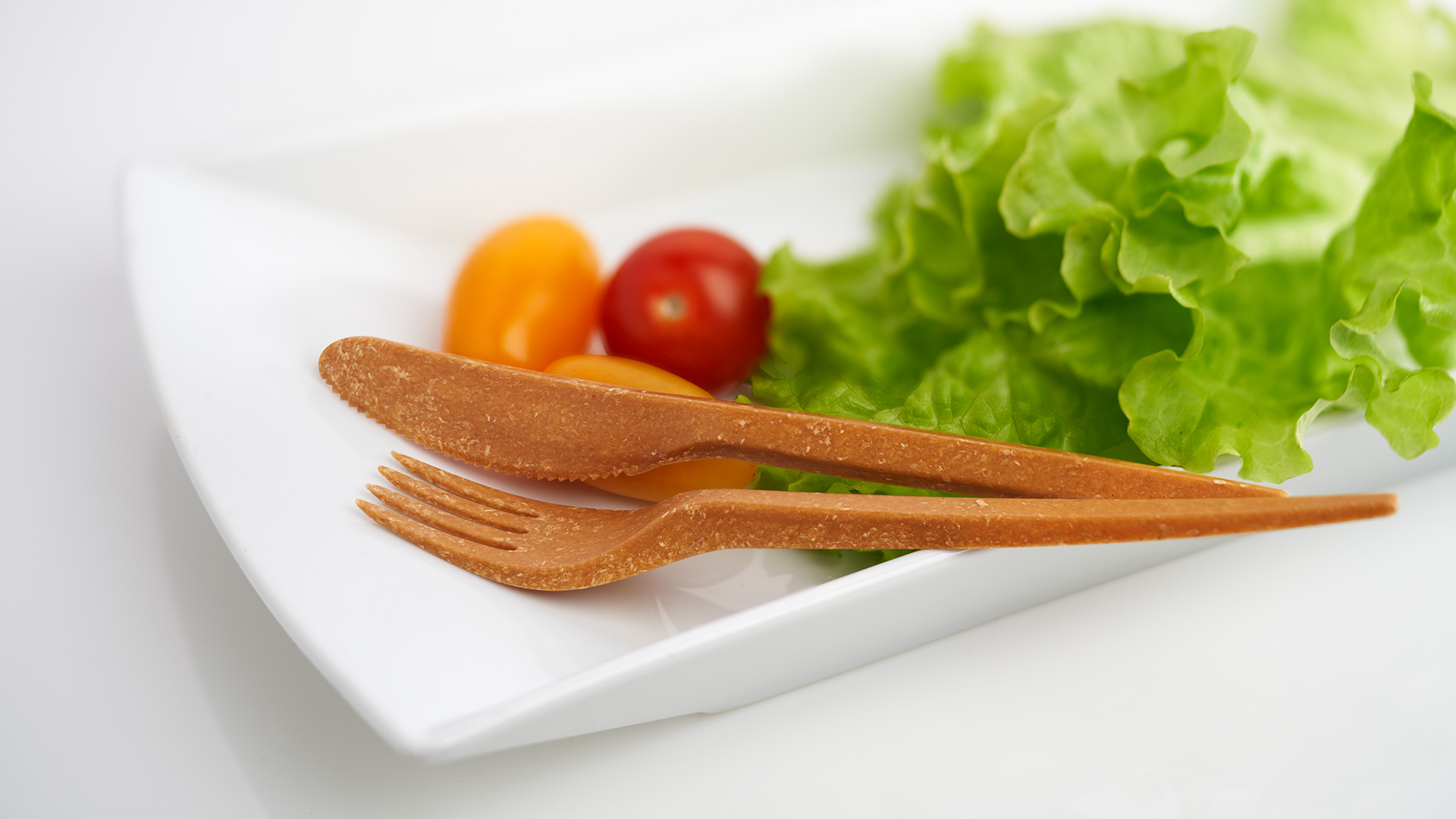 Reusable Biobased Cutlery