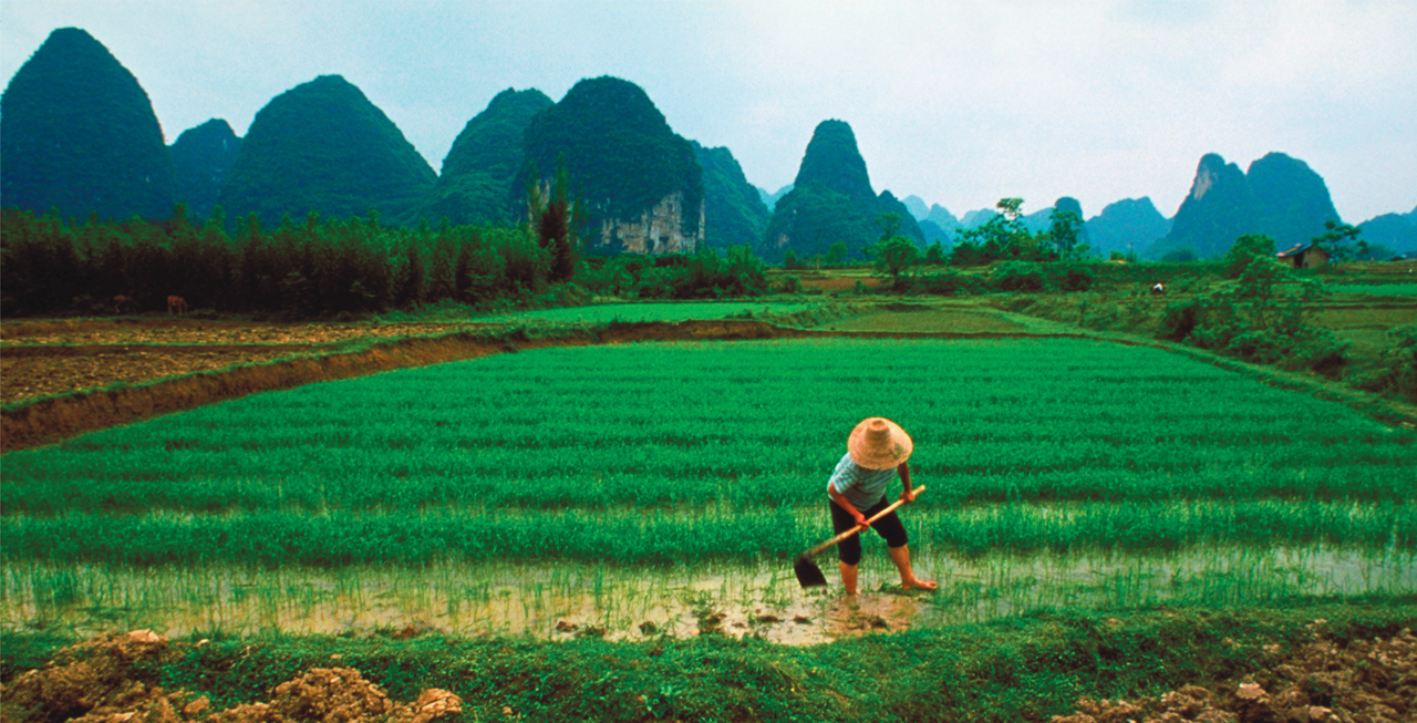 Bioplastics Arable Land Needs