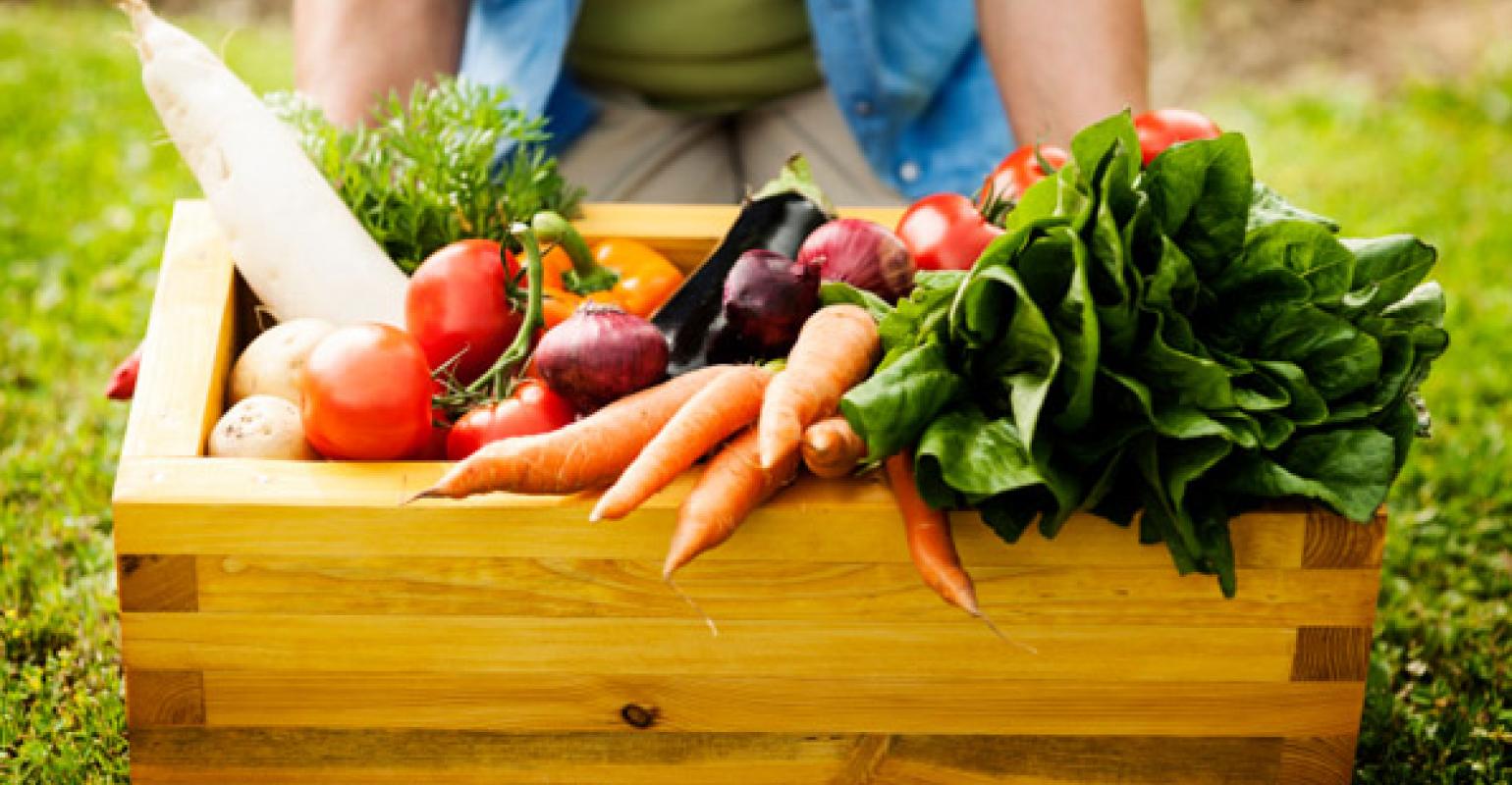 First Prototype Biobased Censors for Food