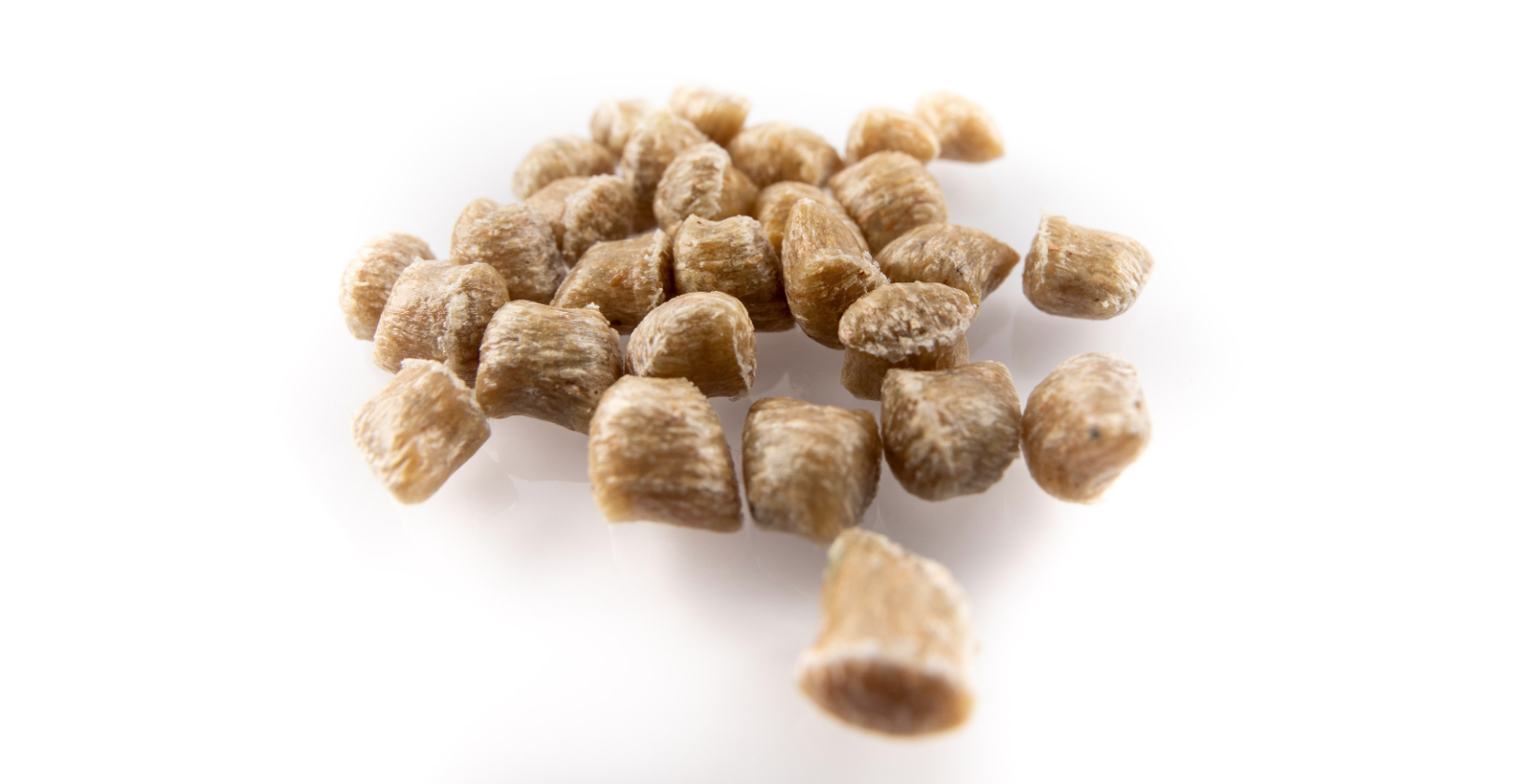 Nordmann to Market Biofibre