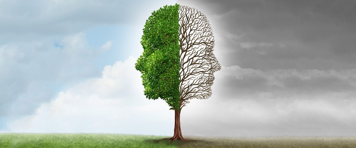 Mechanical vs Chemical Recycling