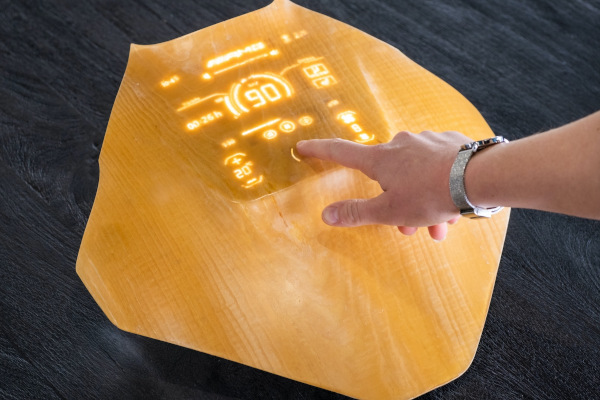 Making Wood Transparent and Tactile