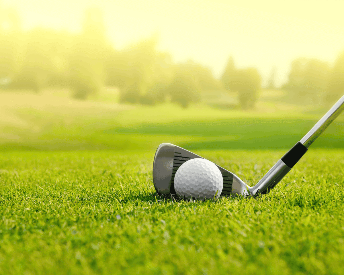 Biodegradable Golf Tees