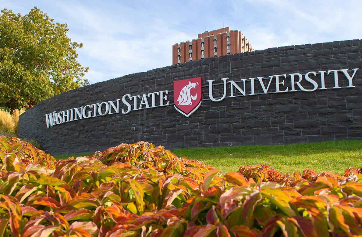 washington state university