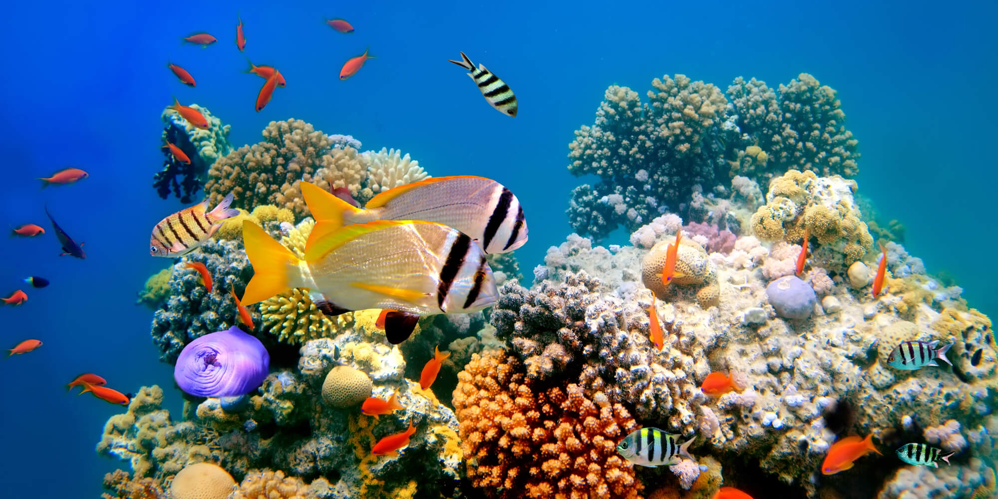 Researcher analyses marine degradability of PLA, PHA and PBAT