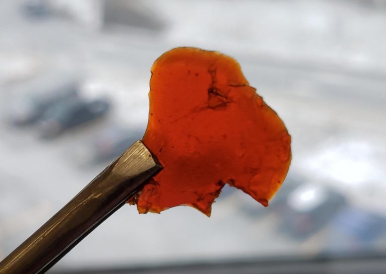 Newfoundland Develop New Fish Bioplastics