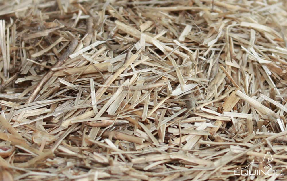 The Resurgence of Flax as a Building Material