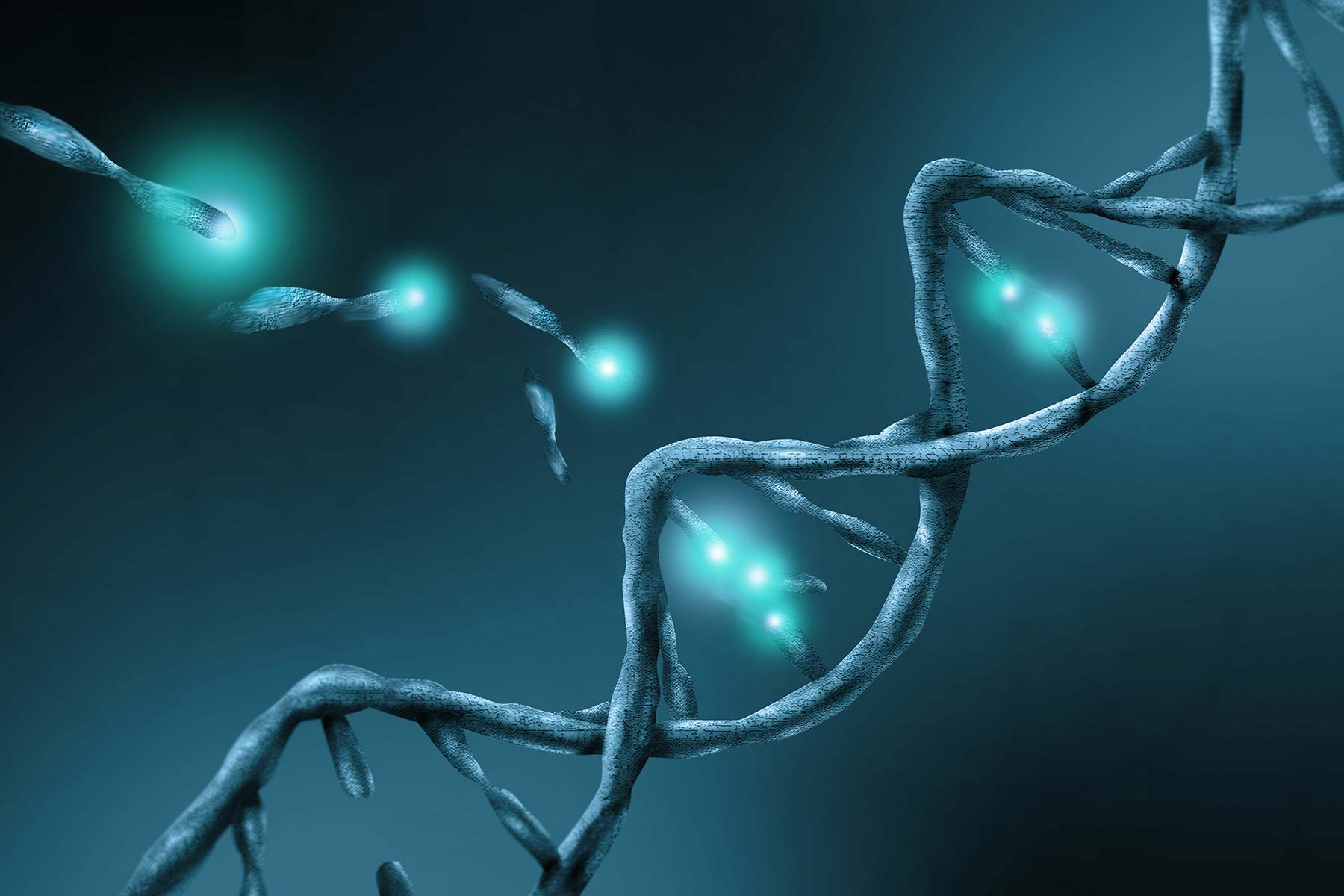 New US Synbio Coalition