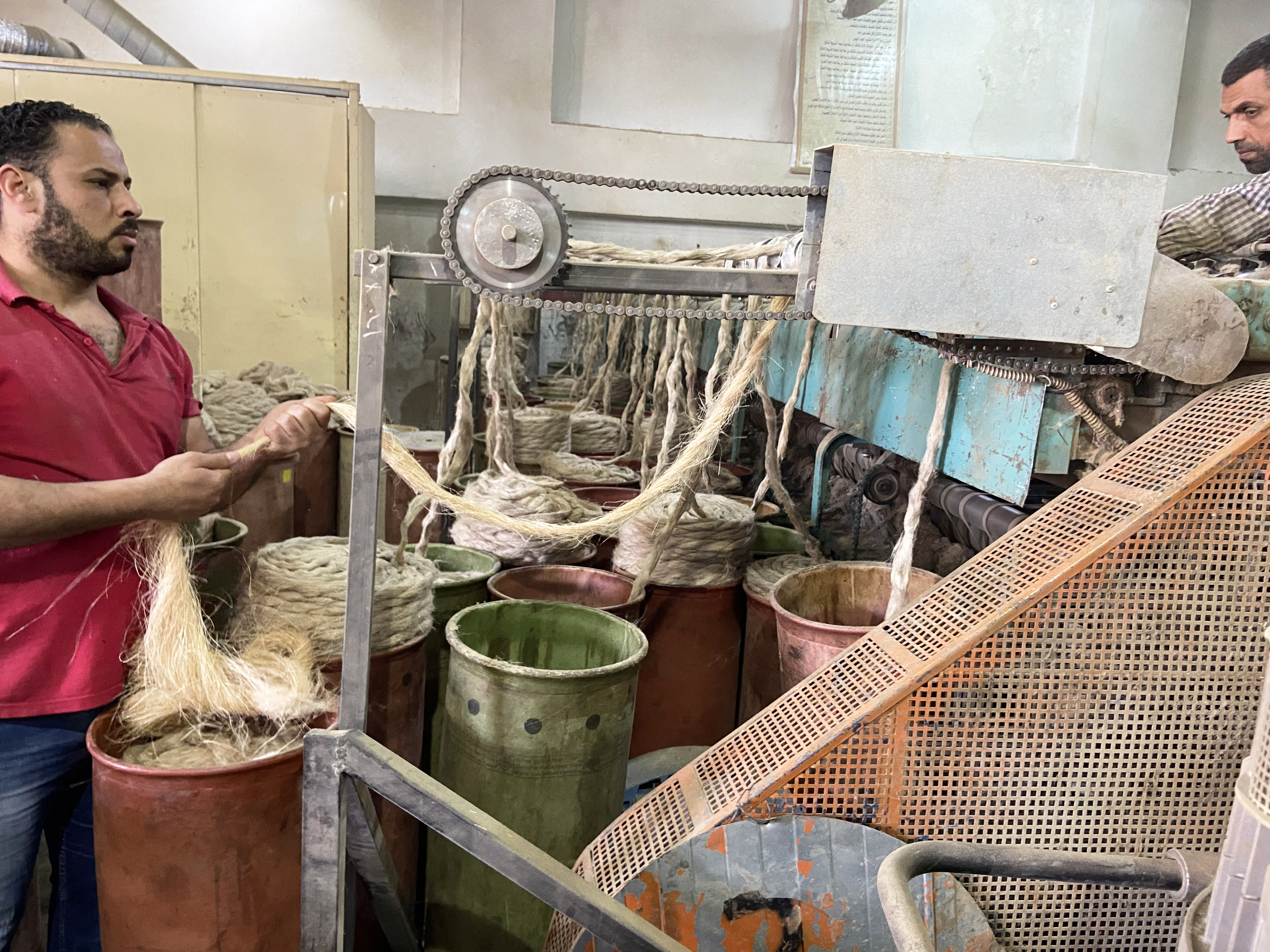 First Textile Palm Fibers