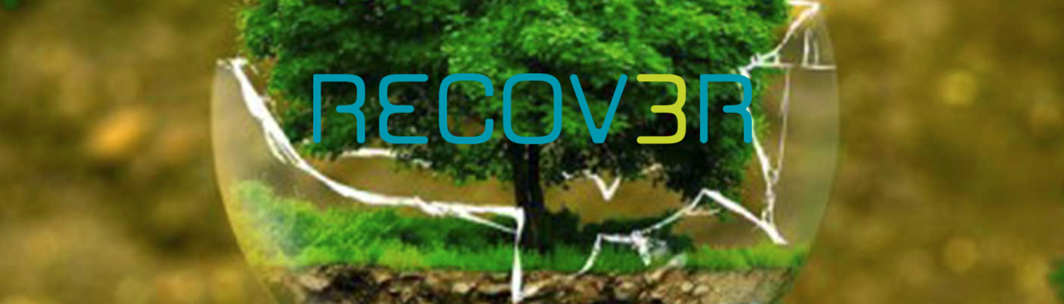 New Biorecycling Routes for Packaging and Agricultural Plastic Waste