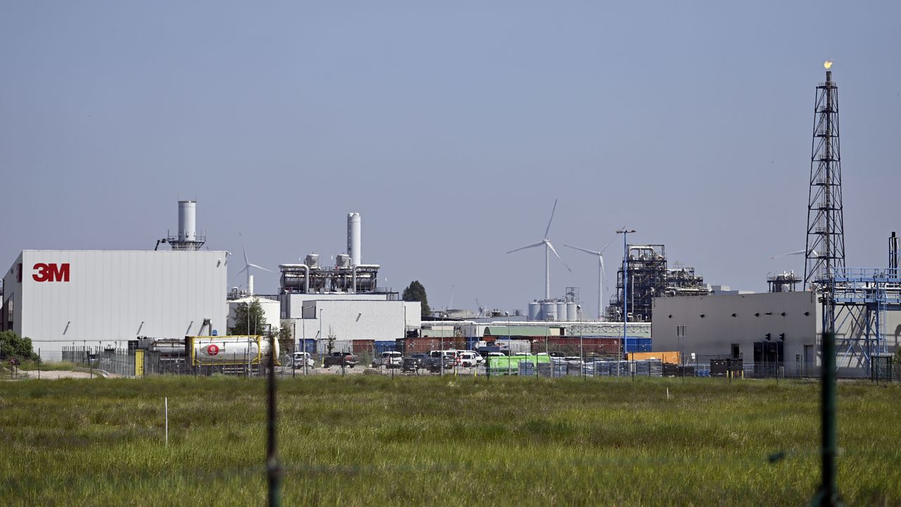 New 3M FBSA Scandal in Belgium (FREE)