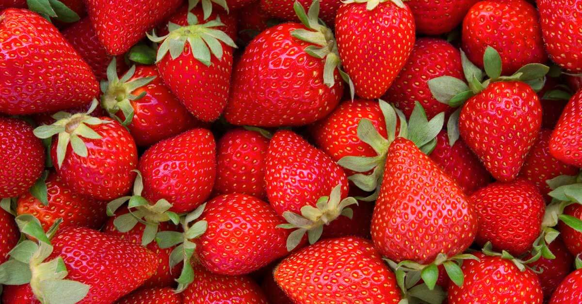 Chitosan Packaging for Strawberries