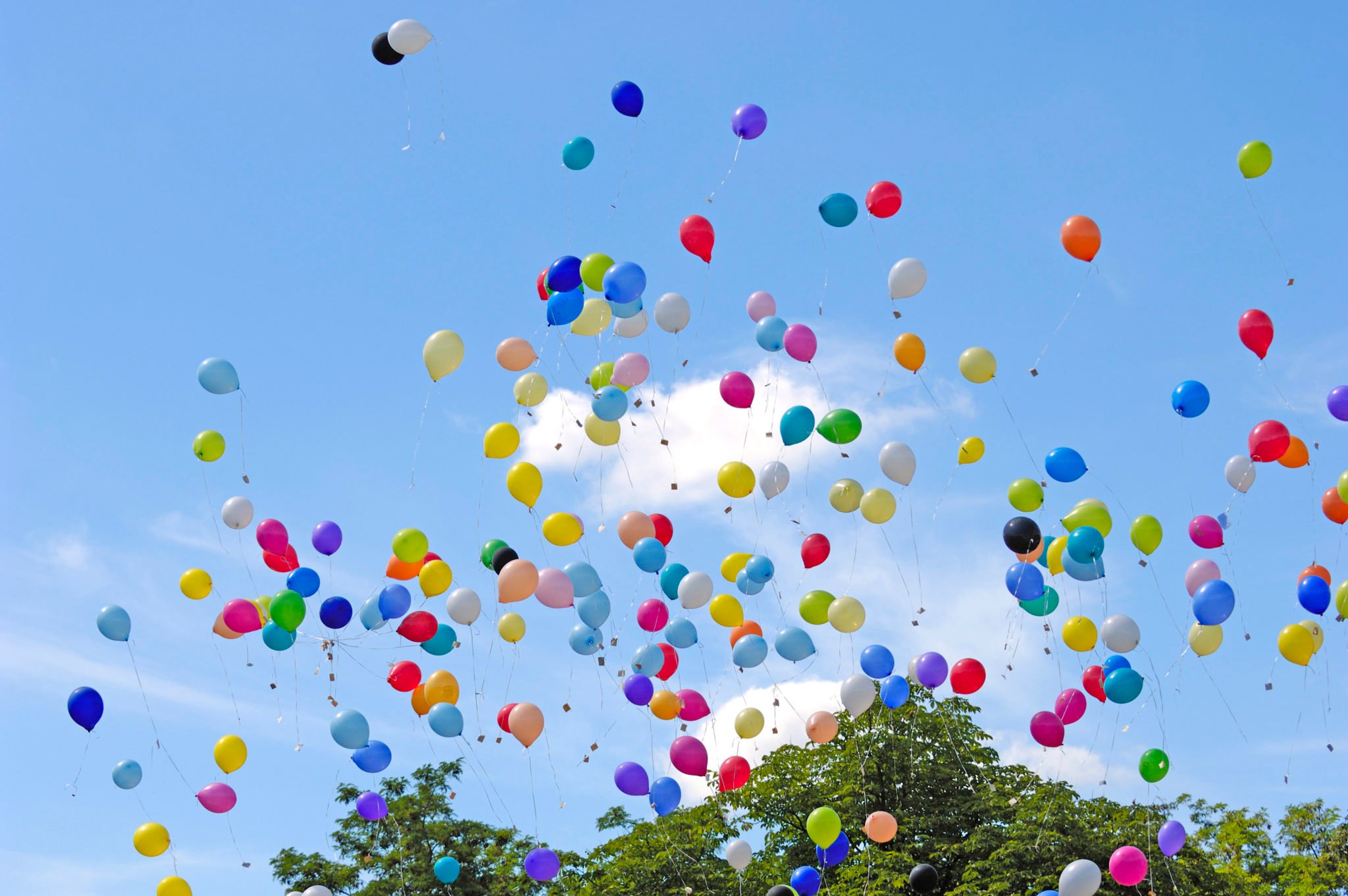 Release of Plastic Balloons at Sea is Littering