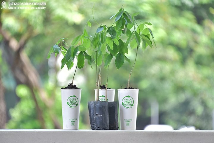 BioPBS Nonwoven Fabric Bag for Agriculture and Horticulture