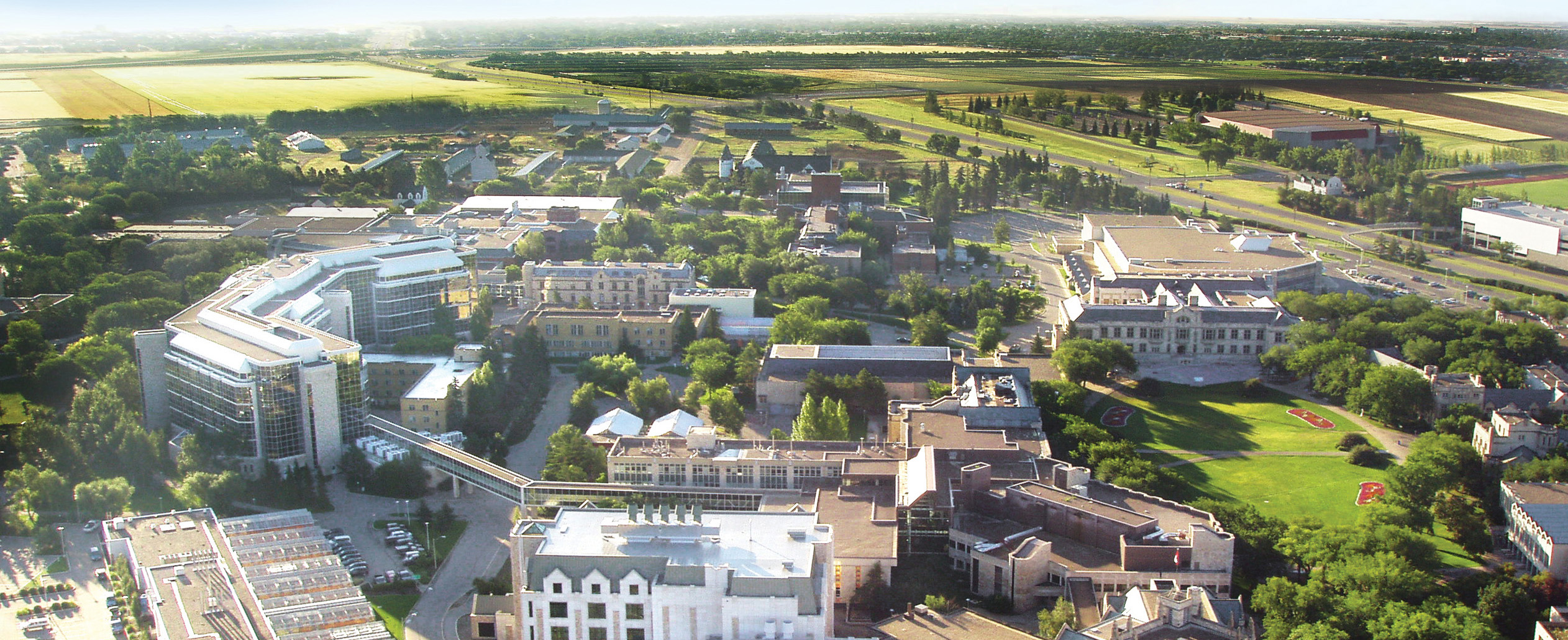 Canada Invests in Pulse Starch Bioplastics Research