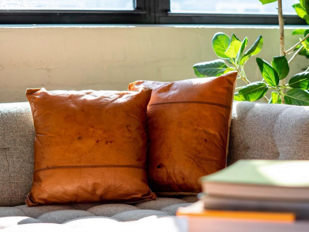 Bucha Bio Closes $1.1 Million Seed Round