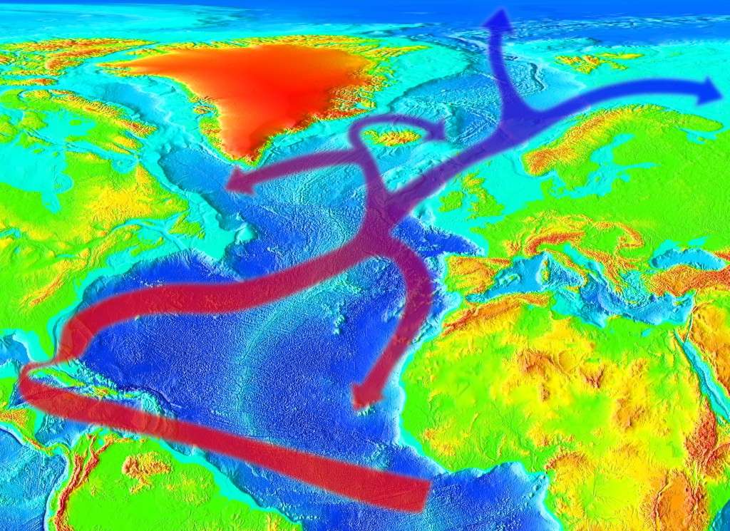 Is the Gulf Stream Collapsing