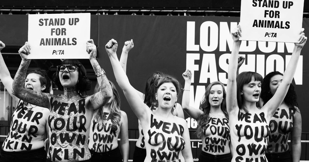 First Cultivated Biomaterial for Fur Industry