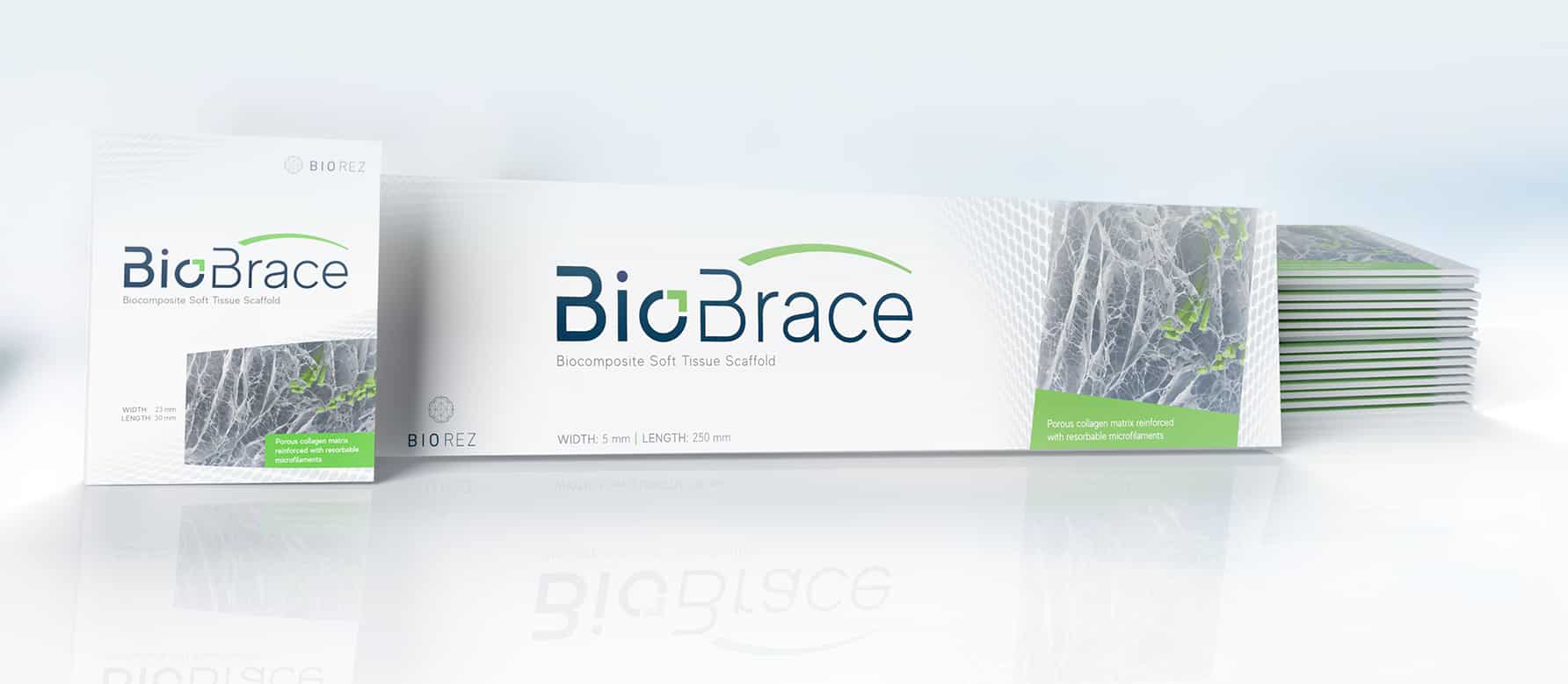 Biorez Patents Biocomposites Implants