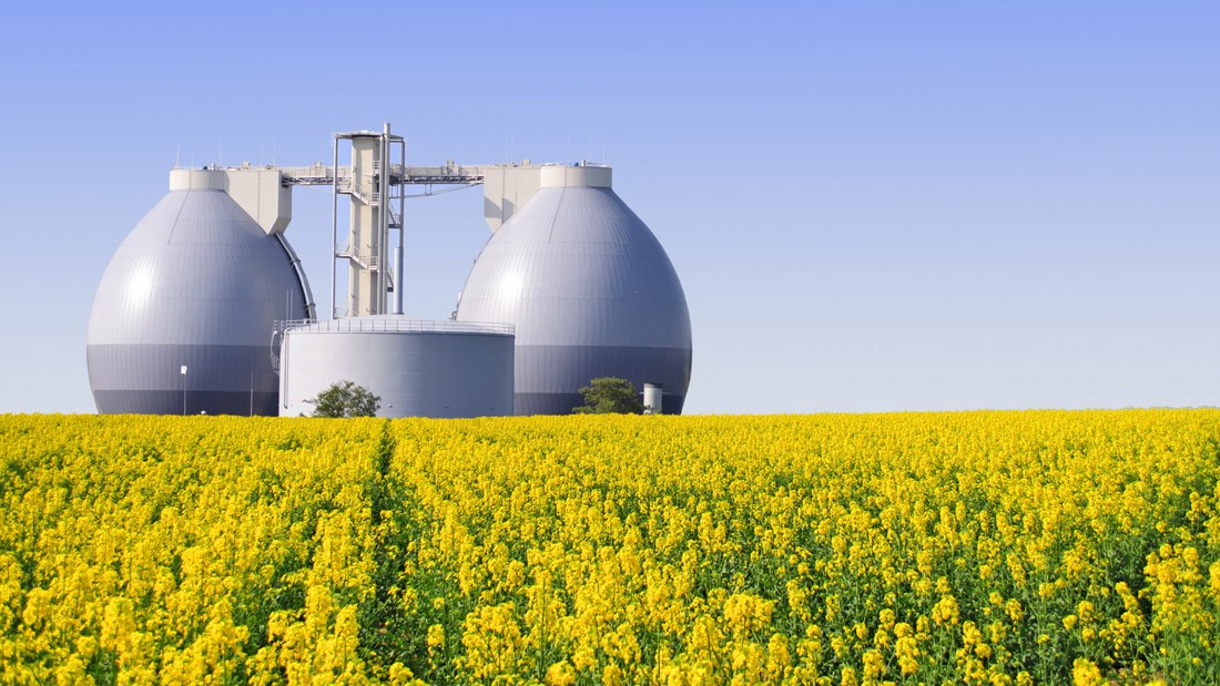 Chemicals from Residues – Leipzig Scientists Bring Chemical Production at Biogas Plants to Pilot Scale