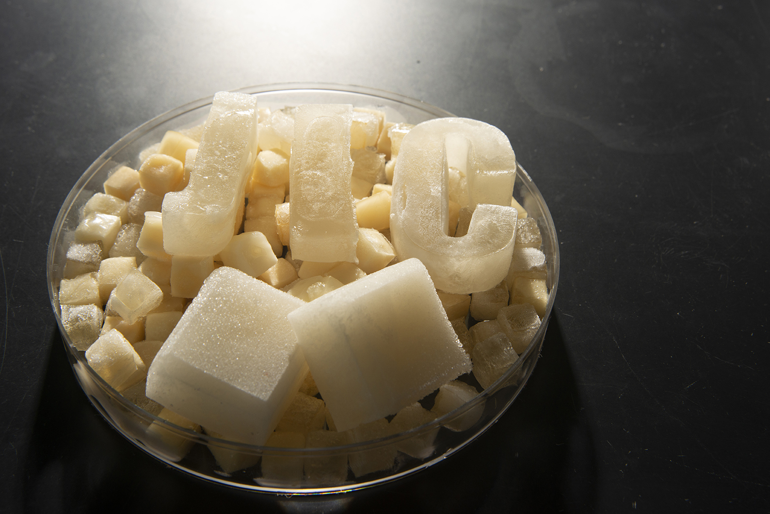 Ice Cube Revolution