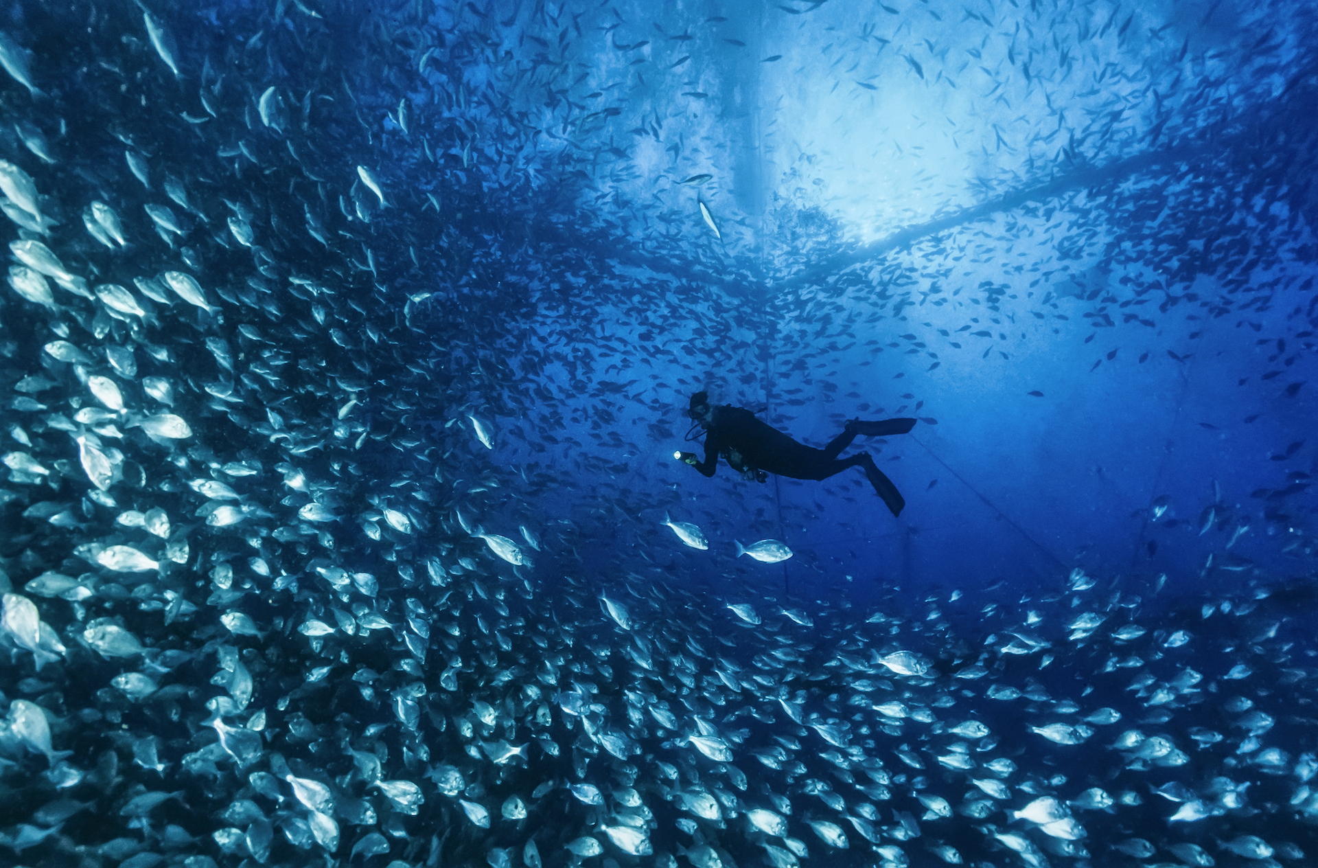 Biobased Materials for Sustainable Aquaculture￼