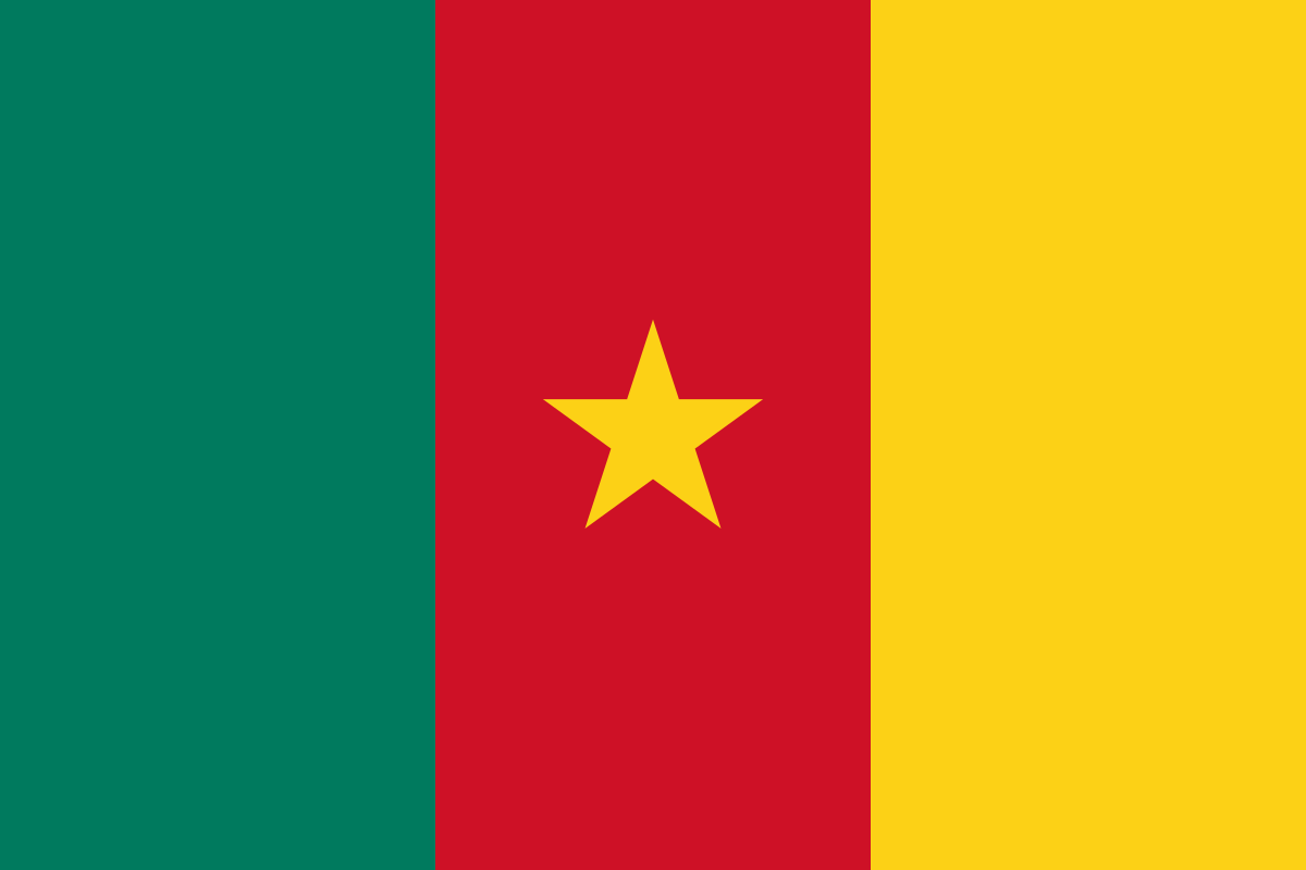 Plastic Smuggling in Cameroon