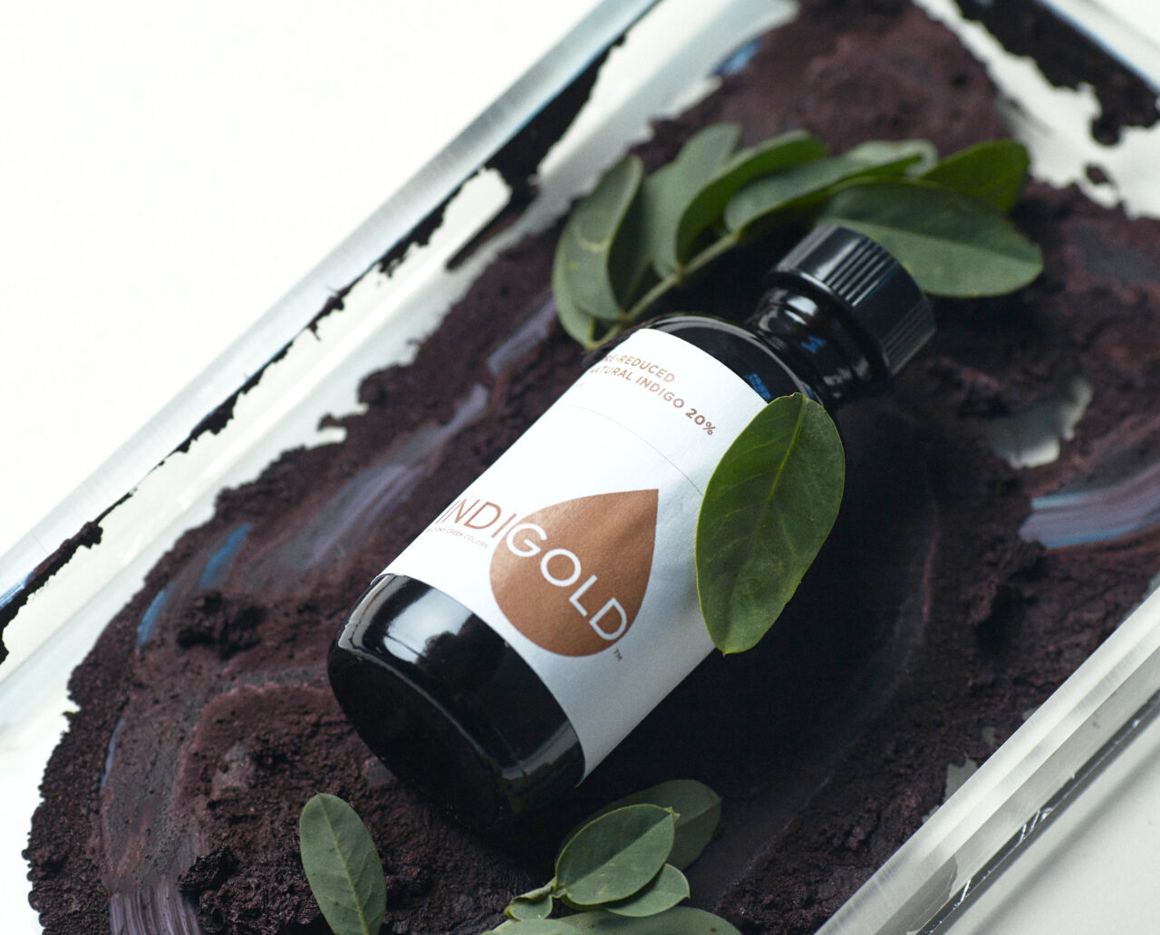 Plant Based Indigo for Denim Dyeing