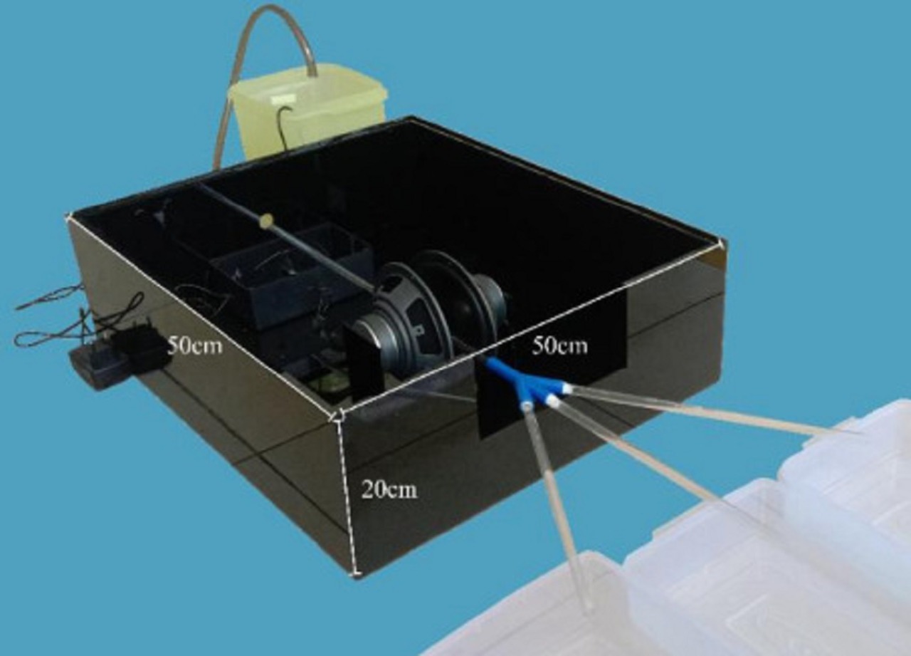 Sonic Filters for Microplastics
