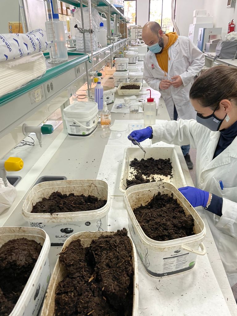 Insects, Earthworms and Enzymes Working Together to Tackle Plastic Pollution