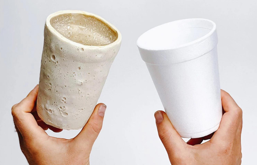 Chitofoam Bioplastic as Alternative to EPS