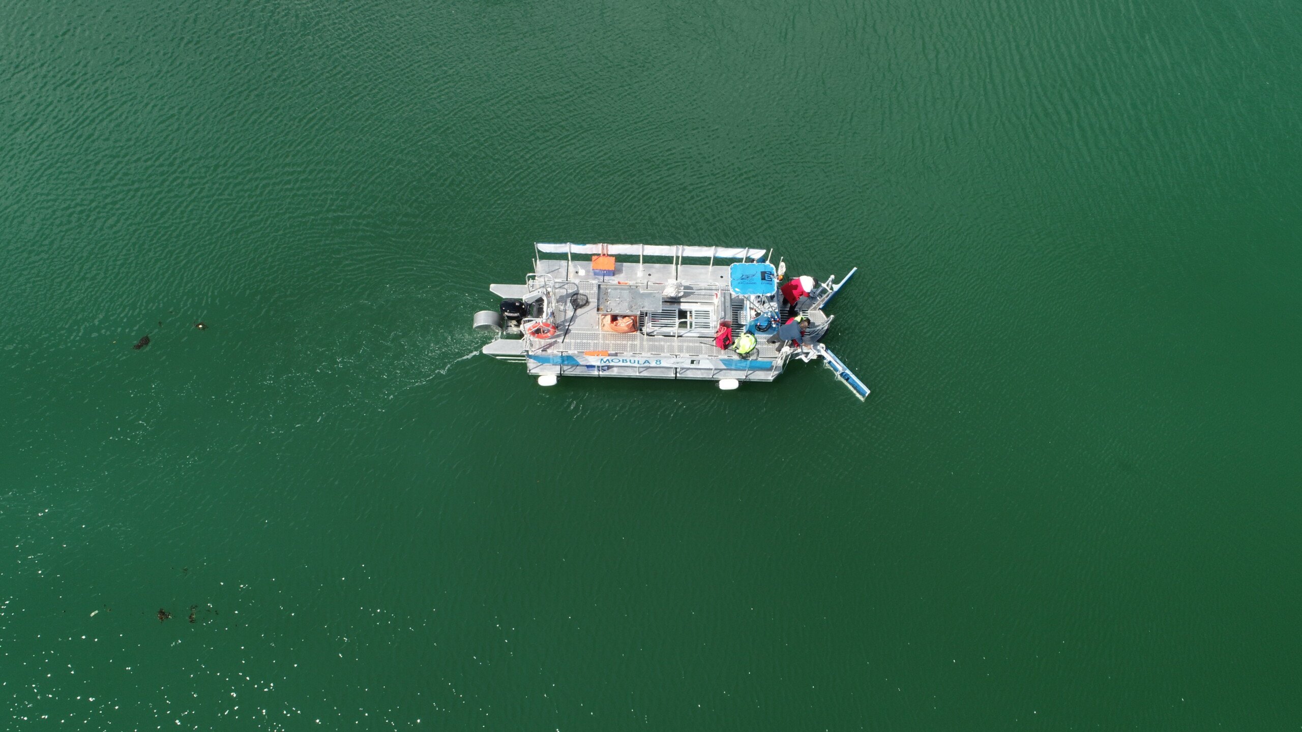 The Seacleaners Mobula 8