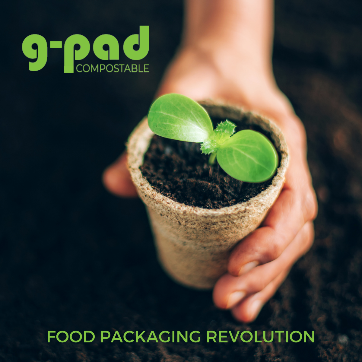 Magic Develops Biodegradable and Compostable Food Pad