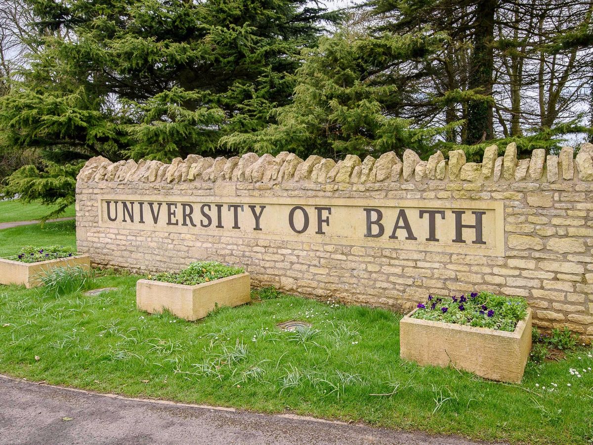 Industry Project for Cellulose and Lignin Sawdust Biocomposites