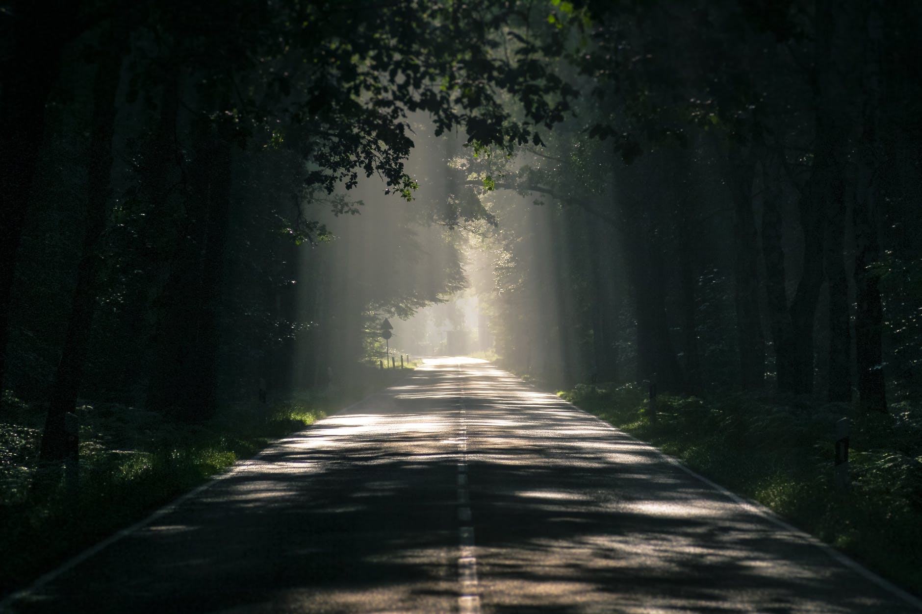 Can Food Crops Grow in the Dark?