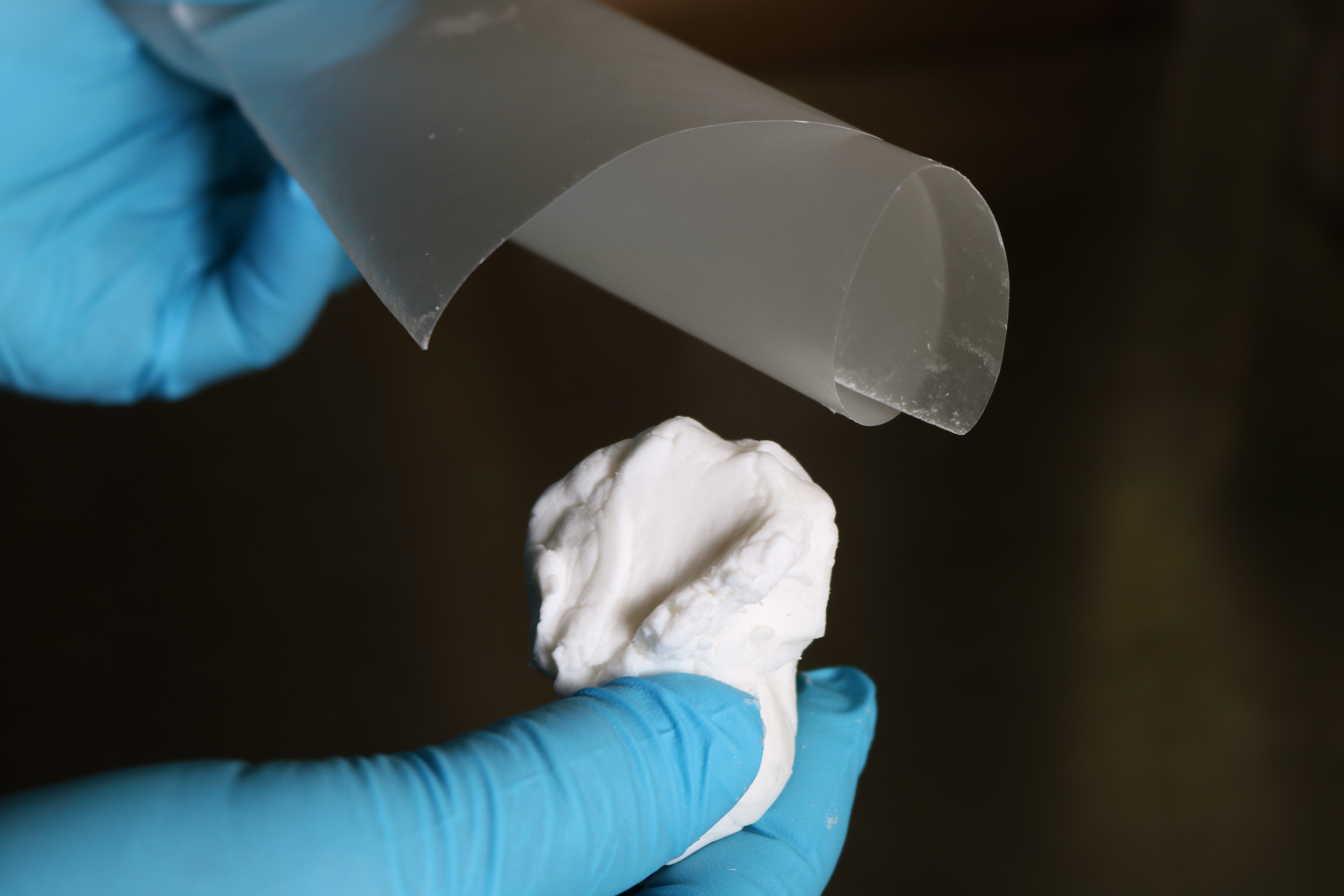 Bio-based Packaging Could Soon Replace Plastic (FREE)