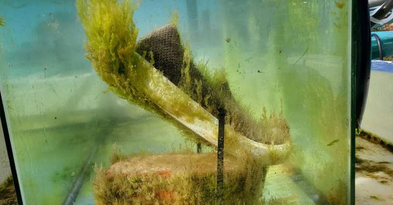 a-sea-change-for-plast