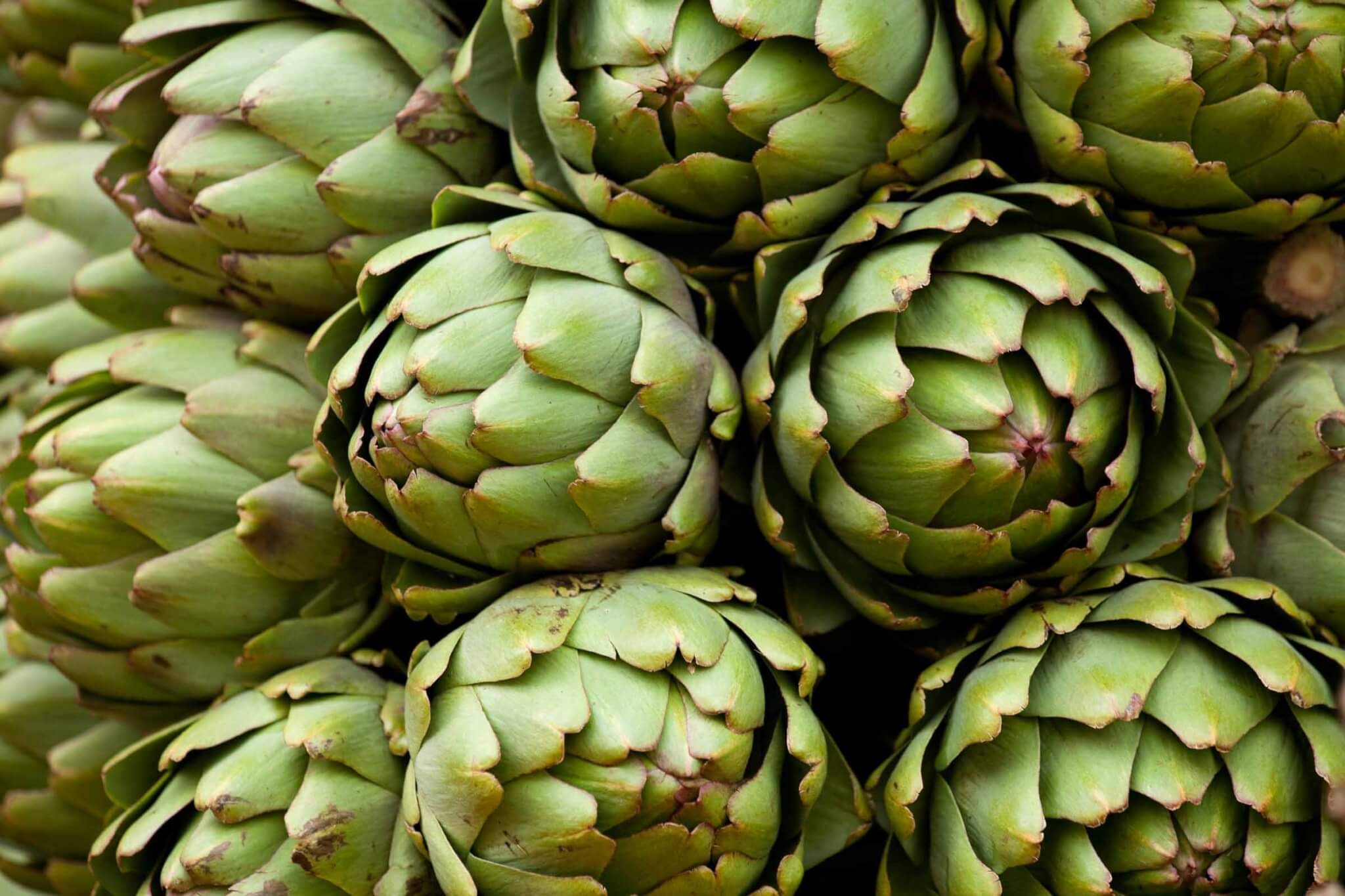 artichoke
