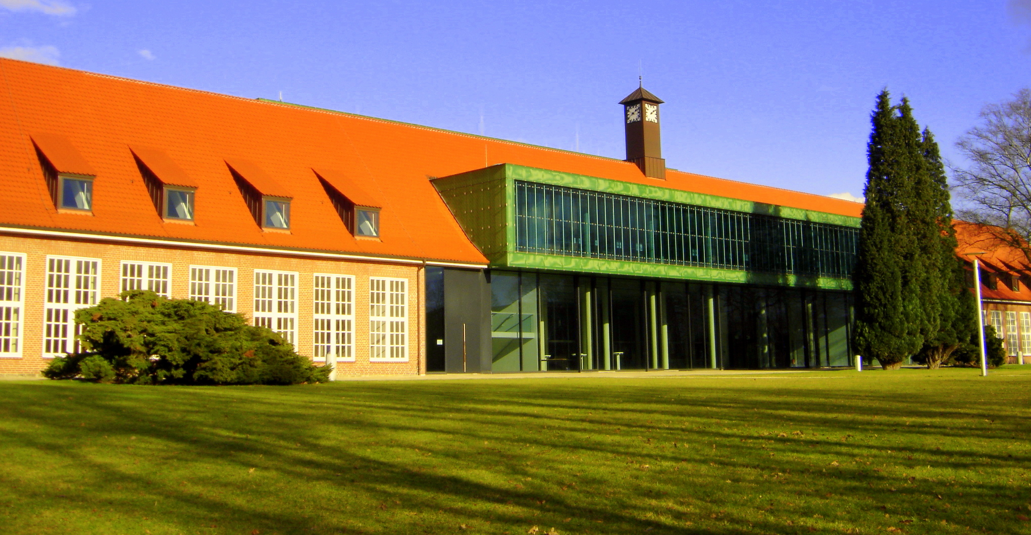 CO2 Fixation in the Production of Succinic Acid