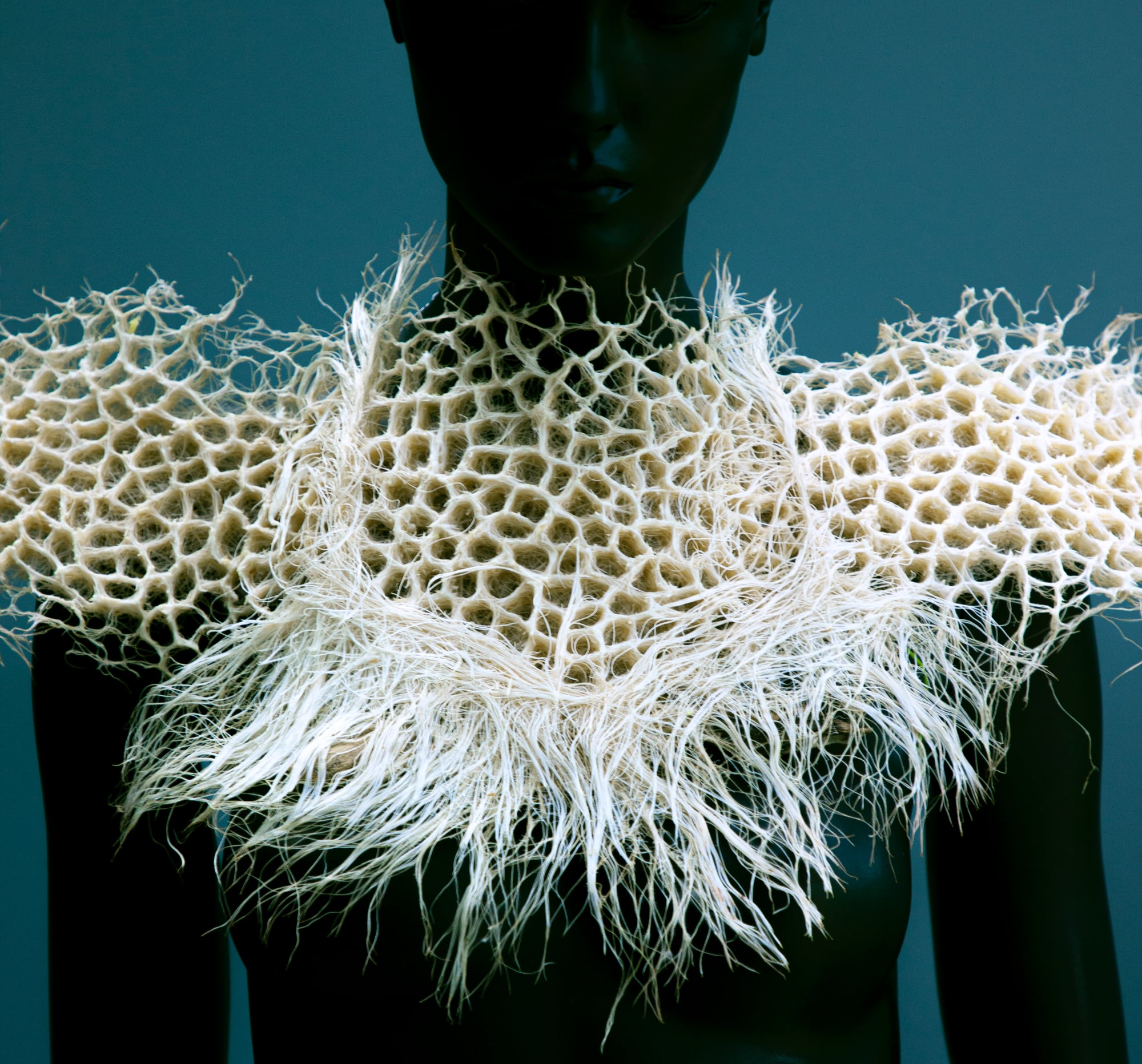 Fashion and Objects from Wheatgrass Seeds and Roots
