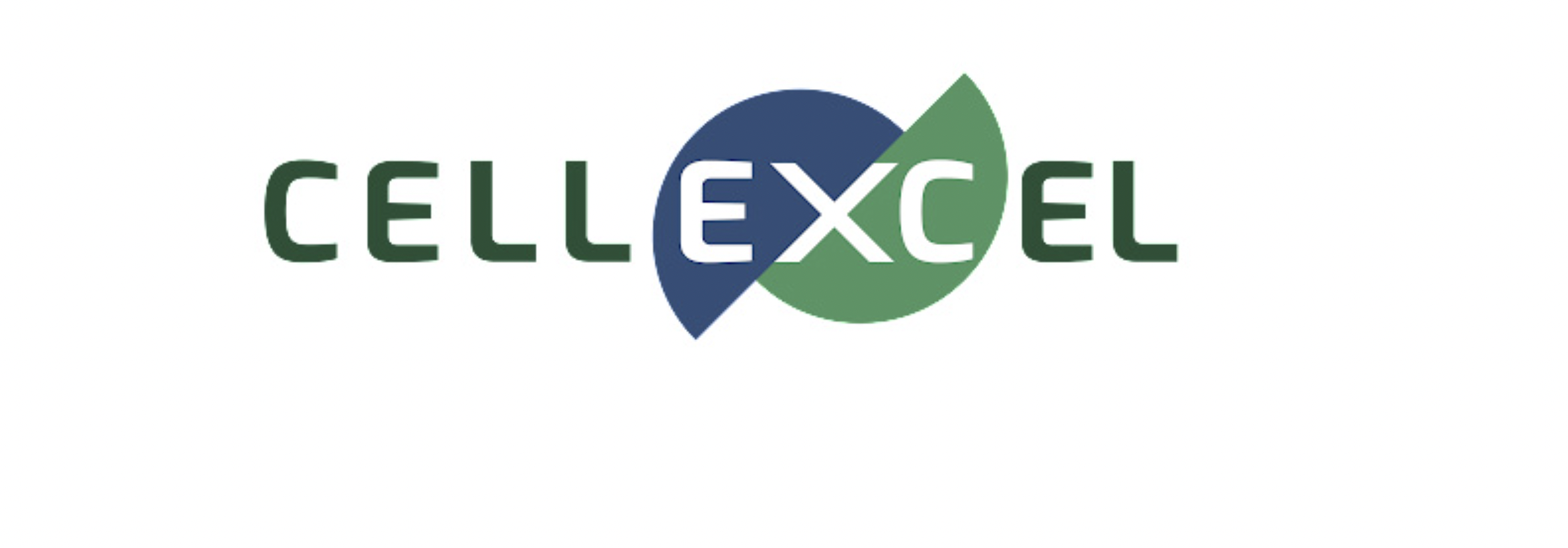 Cellexcel raises over £250,000 for biomaterials technology