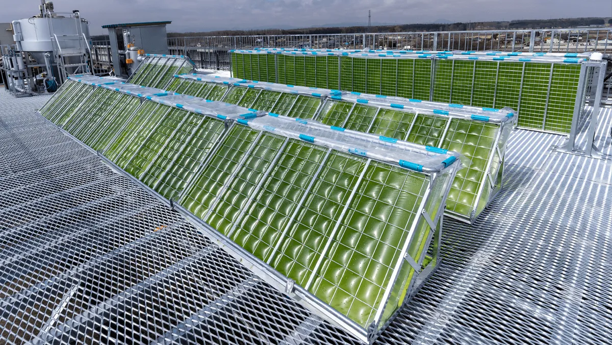 Honda to Develop Algae for Carbon Capture and Bioplastics