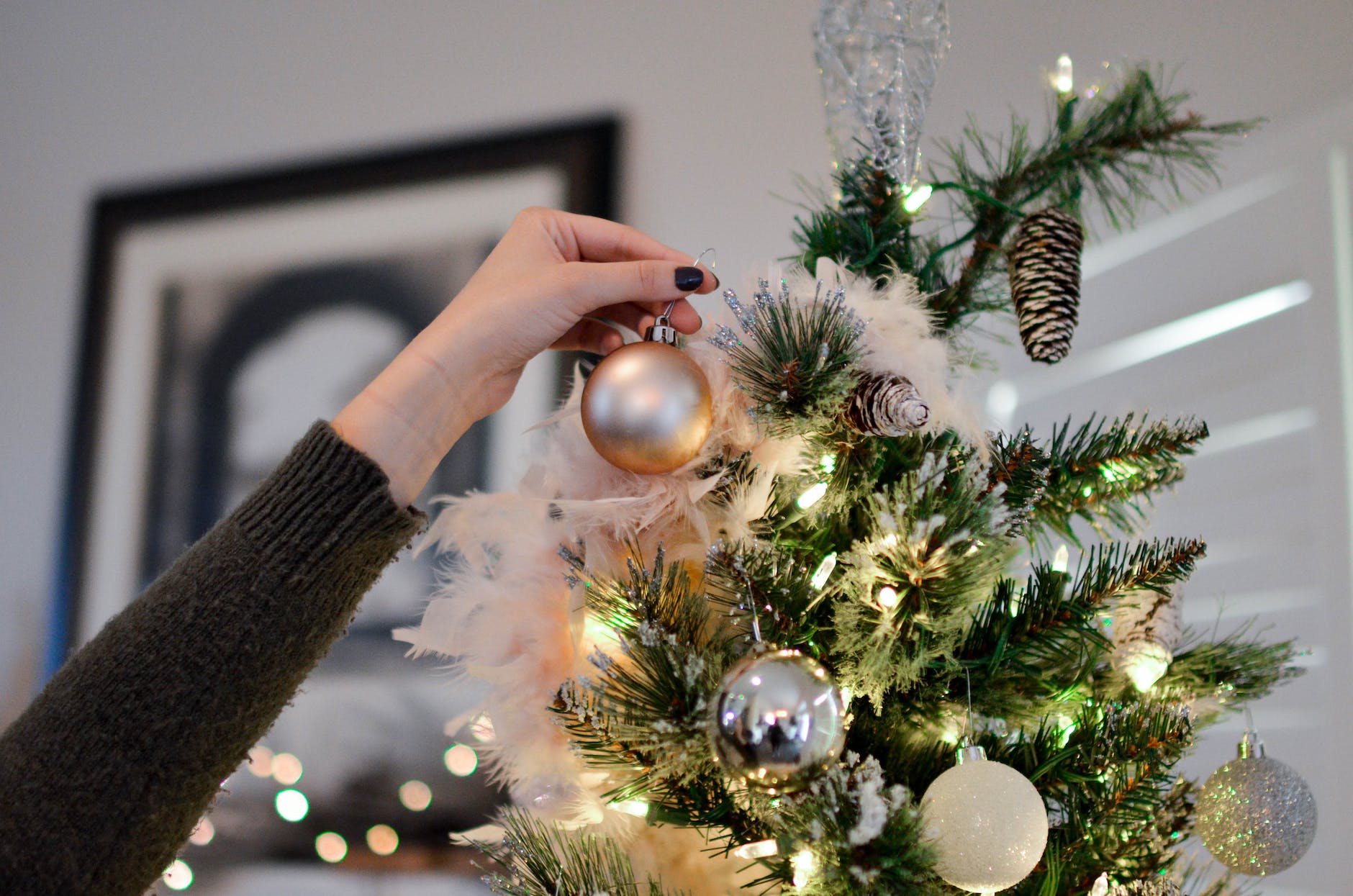 Turning Christmas Trees into Bio Products