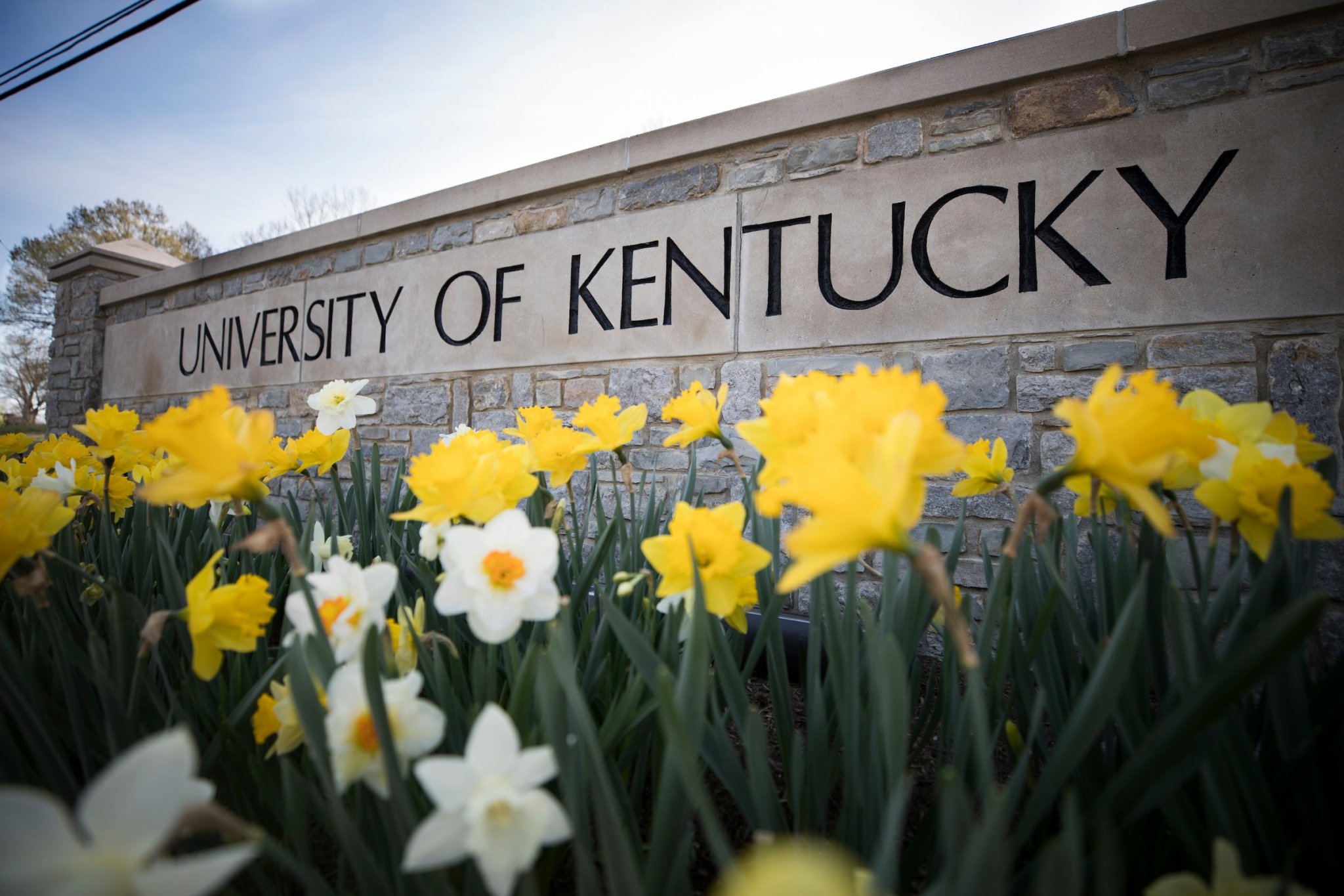 University of Kentucky Student Creates Compostable Paper Recycling Program