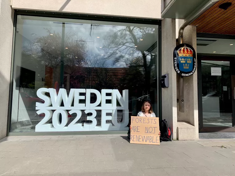 Greta Thunberg Striking Outside Swedish Embassy in Brussels