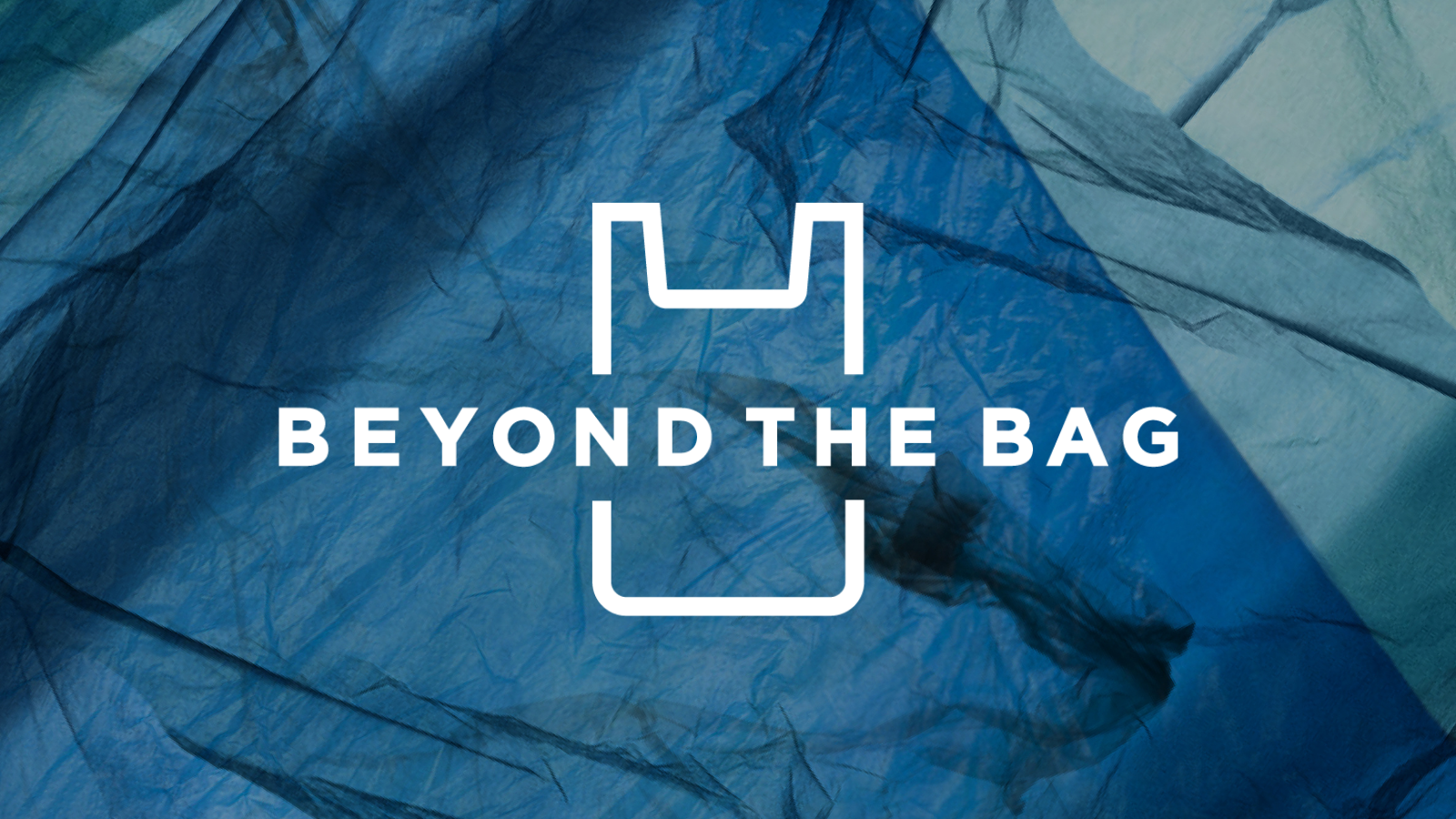 Beyond the bag impact report 2023