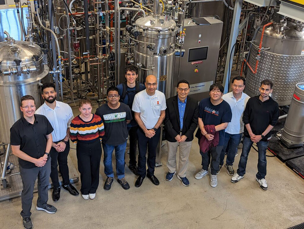 New Pipeline Makes Valuable Organic Acid from Plants — Saving Money and Emissions