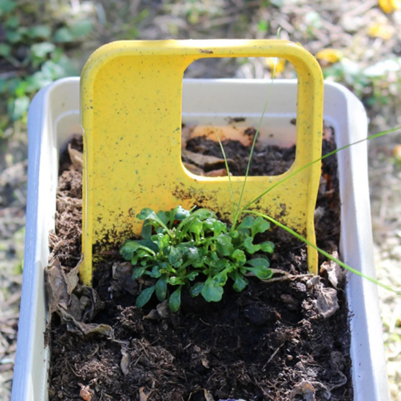 Home Compostable iphone case certified by TUV Austria