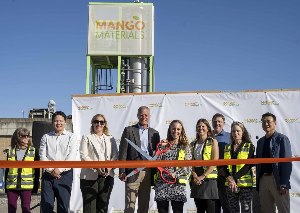 mango-materials